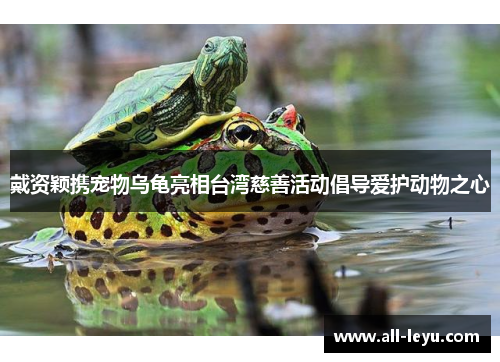 戴资颖携宠物乌龟亮相台湾慈善活动倡导爱护动物之心