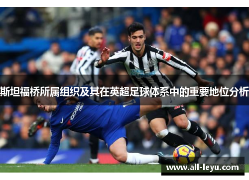 斯坦福桥所属组织及其在英超足球体系中的重要地位分析